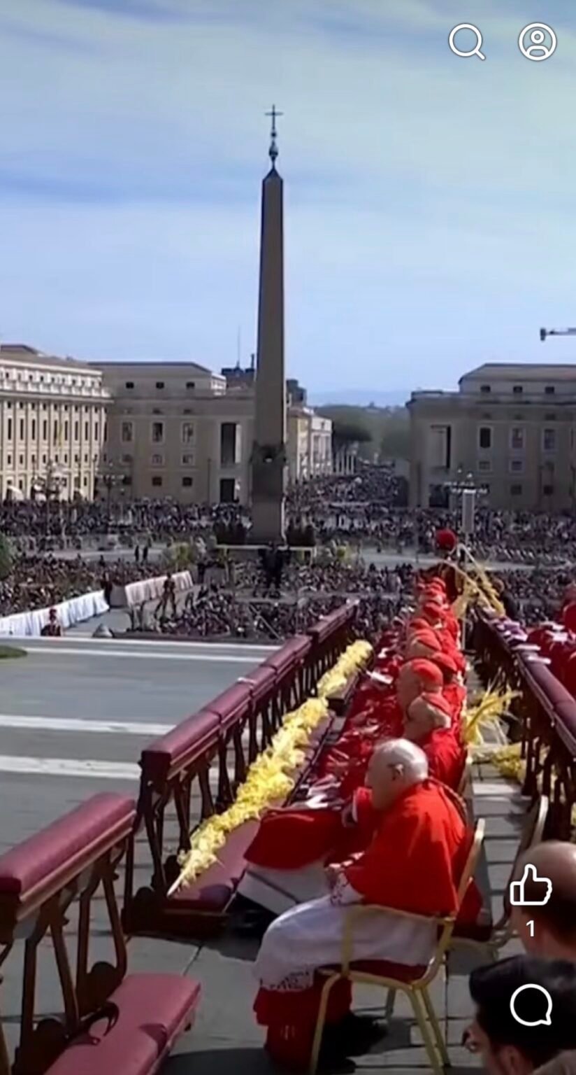 Primer Domingo de Ramos del Papa León XIV llama a la Paz – Contextomx